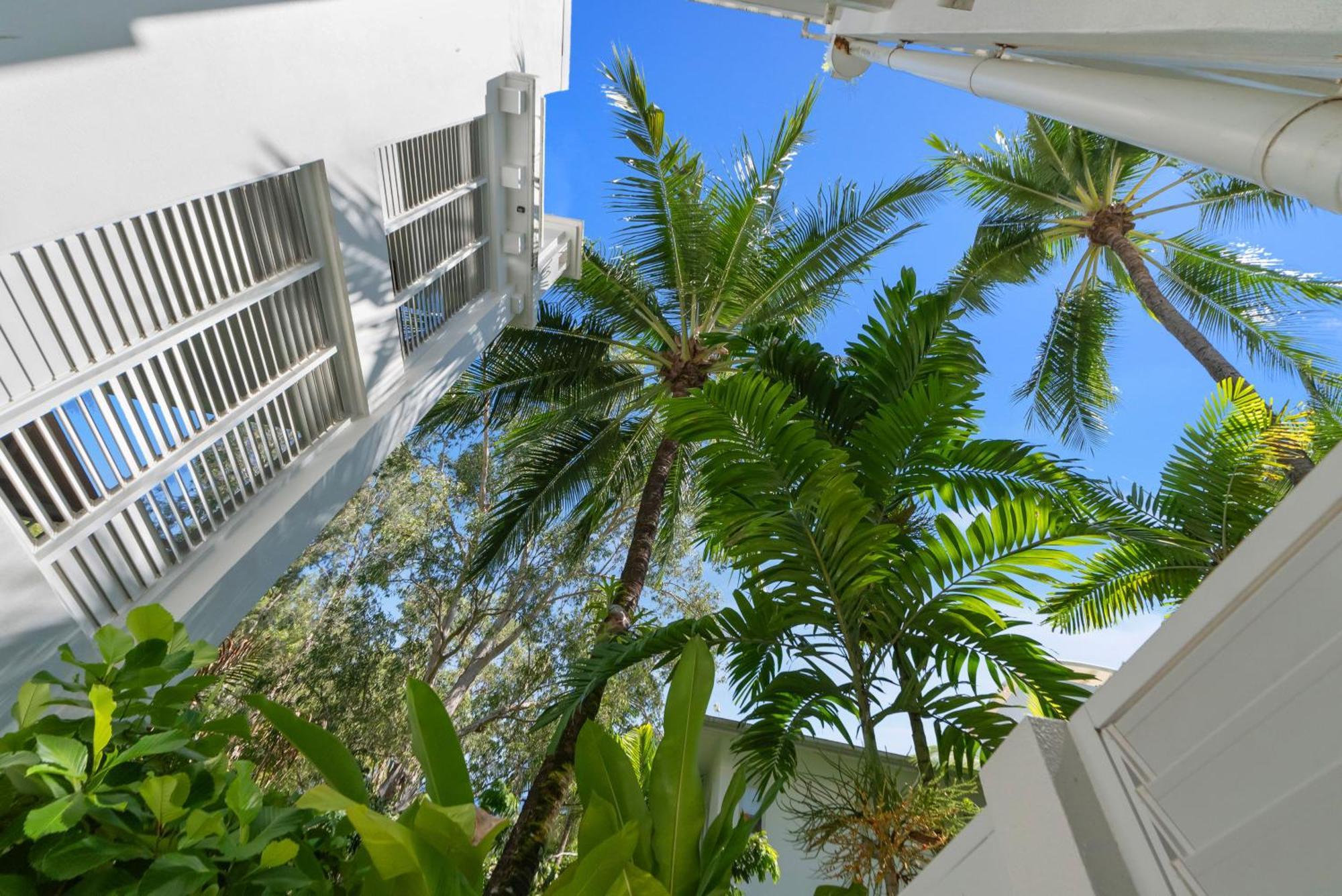 Elysium Private Apartments At Beach Club & Spa Palm Cove Exterior foto